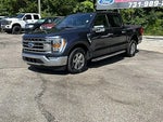 2021 F-150 Thumbnail 3