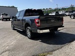 2021 F-150 Thumbnail 5