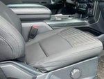 2021 F-150 Thumbnail 8