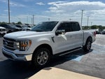 2021 F-150 Thumbnail 3
