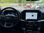 2021 F-150 Thumbnail 7
