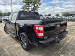2023 F-150 Thumbnail 4