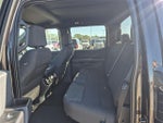 2023 F-150 Thumbnail 9