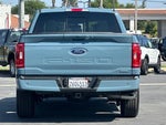 2023 F-150 Thumbnail 5