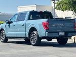 2023 F-150 Thumbnail 6