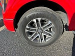 2023 F-150 Thumbnail 11