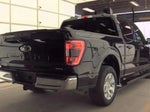 2023 F-150 Thumbnail 3