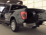 2023 F-150 Thumbnail 4
