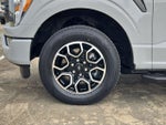 2023 F-150 Thumbnail 10