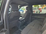 2023 F-150 Thumbnail 5