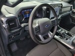 2023 F-150 Thumbnail 11