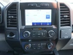 2019 F-150 Thumbnail 8