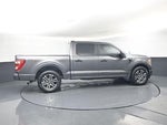 2021 F-150 Thumbnail 5
