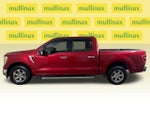 2021 F-150 Thumbnail 12