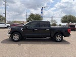 2021 F-150 Thumbnail 3