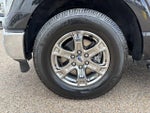 2021 F-150 Thumbnail 8