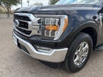 2021 F-150 Thumbnail 9