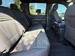 2021 F-150 Thumbnail 28