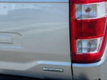 2023 F-150 Thumbnail 24