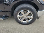 2023 F-150 Thumbnail 12