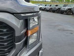 2023 F-150 Thumbnail 3