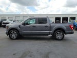 2023 F-150 Thumbnail 6