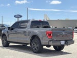 2023 F-150 Thumbnail 6