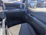 2023 F-150 Thumbnail 5
