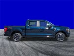 2023 F-150 Thumbnail 15