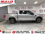 2023 F-150 Thumbnail 9