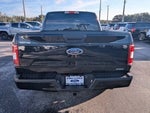 2019 F-150 Thumbnail 6