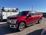 2019 F-150 Thumbnail 2