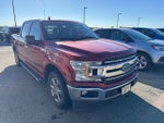2019 F-150 Thumbnail 3