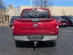 2019 F-150 Thumbnail 6