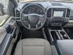 2019 F-150 Thumbnail 8