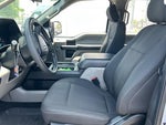 2019 F-150 Thumbnail 7