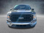 2021 F-150 Thumbnail 8