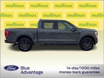 2021 F-150 Thumbnail 11