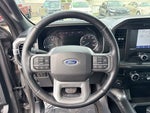2021 F-150 Thumbnail 14