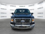 2021 F-150 Thumbnail 2