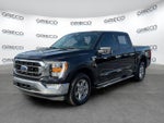 2021 F-150 Thumbnail 3