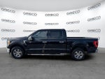 2021 F-150 Thumbnail 4