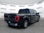 2021 F-150 Thumbnail 7