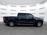 2021 F-150 Thumbnail 8