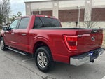 2021 F-150 Thumbnail 2