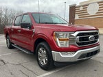 2021 F-150 Thumbnail 6