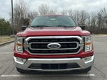 2021 F-150 Thumbnail 7