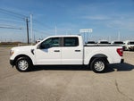 2021 F-150 Thumbnail 4