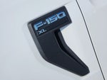 2021 F-150 Thumbnail 12