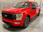 2022 F-150 Thumbnail 4